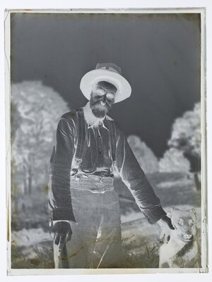 cover image of The Descendant